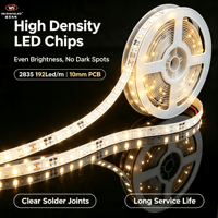 Lampu Strip LED Fleksibel DC24V 192LEDs/m SMD2835 Kecerahan Tinggi, Suhu Warna 3000K-6000K, Pencahayaan Lanskap Berbahan Tembaga.