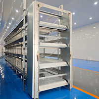 Poulailler de type H pour élevage de poulets de chair et pondeuses, mangeoires galvanisées, cage à poulets, poulailler pour poulets de chair, poules pondeuses