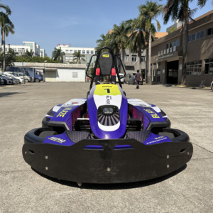 Factory <strong>Sales</strong> 4 Strokes Petrol <strong>Go</strong> <strong>Kart</strong> <strong>for</strong> Adult Professional <strong>Go</strong>-<strong>kart</strong> Manufacturer 200cc Commercial Drift Gasoline Karting Car - Product Image 2