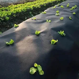 Dokunmamış Anti ot örtüsü siyah Film polipropilen malzeme tarım tarım ot bariyer blok kumaş