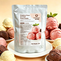 Poudre de crème glacée dure pour usage domestique et commercial, base de poudre pour gelato et boules de crème glacée DIY, plusieurs saveurs disponibles, support OEM