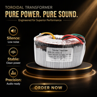 Transformateur toroïdal 1000VA monophasé à faible bruit, transformateur de puissance 24V 0V 12V pour systèmes audio
