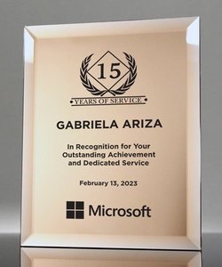 Placa chapada en oro Premium Noble, placa de reconocimiento enmarcada en vidrio para regalo de negocios de <span class=keywords><strong>Honor</strong></span> de comunidad corporativa - Product Image 4