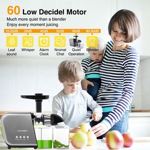 Số lượng cao <span class=keywords><strong>Smoothie</strong></span> Máy xay sinh tố Máy ép trái cây vắt Máy Báo Chí lạnh chậm máy ép trái cây Masticating Máy ép trái cây - Product Image 4