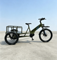 Tricycle électrique à 3 roues avec assistance électrique, freins à disque hydrauliques intégrés en aluminium et lithium, conduite stable pour personnes âgées et courses