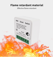 Mini interrupteur intelligent WiFi 16A 1 Gang 2 voies, module d'interrupteur intelligent DIY compatible avec l'application Smart Life/Tuya, compatible avec Alexa et Google Relay