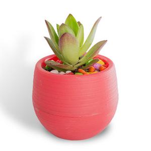 Maceta redonda <span class=keywords><strong>de</strong></span> plástico <span class=keywords><strong>de</strong></span> colores para plantas, macetas para suculentas, decoración <span class=keywords><strong>de</strong></span> plantas, Mini macetas <span class=keywords><strong>de</strong></span> escritorio - Product Image 5