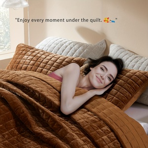 Nhung bedspread giường sang trọng chần mịn nhung Quilt Set bộ đồ giường sang trọng Bộ phong cÁch phổ biến coverlets cho tất cả các mùa - Product Image 5