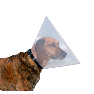 Rarewe Adjustable E-Collar for <b>Dogs</b> Lightweight Plastic Soft Recovery Cone Reflective Wholesale Elizabethan Pet Surgery Collar - Product Image 1