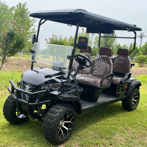 Mới ra mắt bán buôn pin lithium điện Golf giỏ hàng 2 + 2 CHỖ NGỒI Buggy nhà máy bán hàng trực tiếp - Product Image 5
