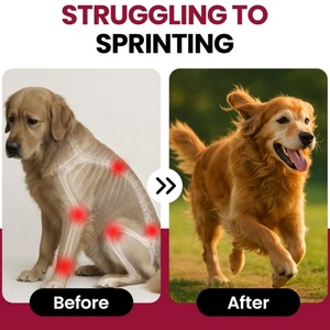 مكمل غذائي للكلاب بعلامة تجارية خاصة لصحة المفاصل والورك، مسحوق الجلوكوزامين والكوندرويتين سلفات وميثيل سلفو - آمن وفعال - Product Image 3