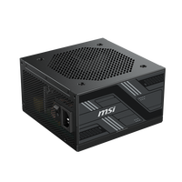 Yeni MSI PAG pcils PCIE5 80 + altın tam modüler güç kaynağı 750W masaüstü için yerli 12V-2x6 kablo ile RTX40/50 GPU oyun PC PSU