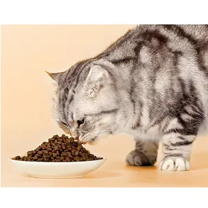 18 years food grade bacon flavor liquid supplier good quality cat food flavour enhancer pet food flavor