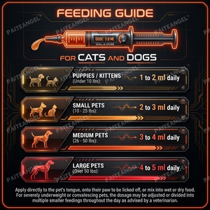 Gel Ganador de Peso para Mascotas OEM, Suplemento Nutricional en Pasta de Alta Caloría para el Crecimiento Muscular de Perros y Gatos, en Jeringa - Product Image 5