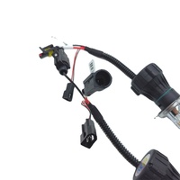 Venta caliente HID Xenon Head Lights High Power 12V 55W 6000K High Low Beam Auto Bulbs H Lámpara de coche