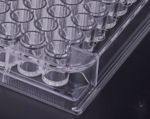 6 plaques de milieu de culture de cellules noires de tissu sanguin de puits avec des insertions - Product Image 6
