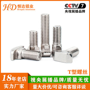 Vis de type T M5 M6 M8 en acier inoxydable pour l'assemblage de profilés en aluminium - Product Image 5