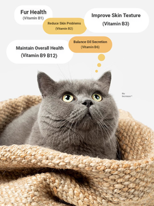 Complément alimentaire à l'astaxanthine VCare pour chiens et chats, soin du pelage et contrôle des boules de poils, 100 capsules - Product Image 4