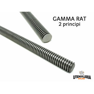 Tornillo helicoidal trapezoidal 12 a 40 rango RAT 2 arranques (1 metro) - Product Image 1