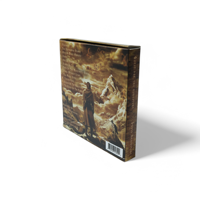 Boîte de CD de musique d'ambiance fantasy nordique, style antique avec impression artistique viking, en vente flash