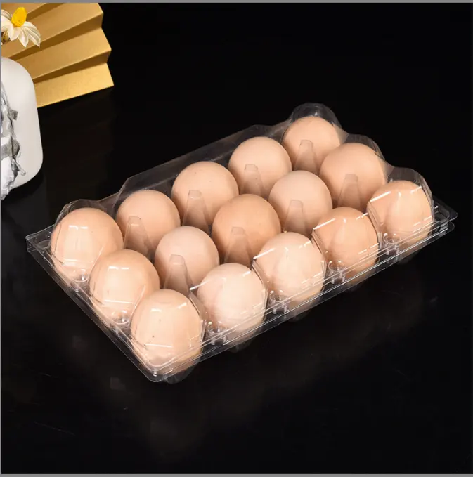 가장 인기있는 플라스틱 투명 계란 트레이 15 구멍 메추라기 계란 트레이 물집 팩 계란 트레이