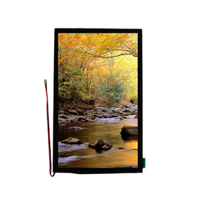 6 "1080x1920 RGB <span class=keywords><strong>LCD</strong></span> 2000nits W/Adapter kit-công nghiệp lớp ánh sáng mặt trời có thể đọc được hiển thị cho ngoài trời hmis - Product Image 6