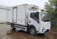 Shenbai Electric Cargo Truck New Energe Vehicle Camión eléctrico puro con transmisión automática a la venta