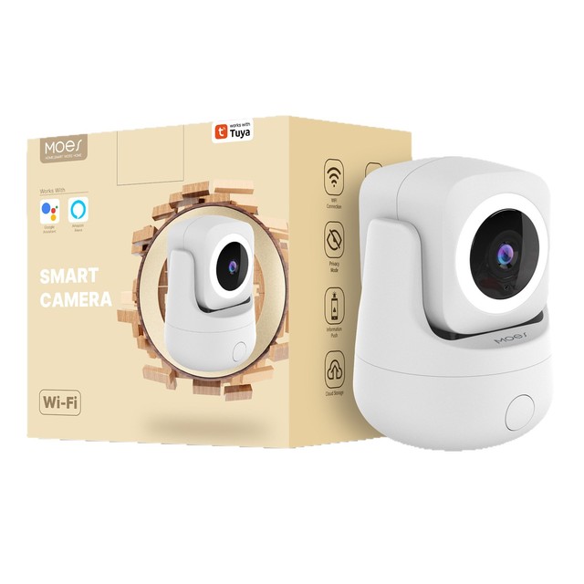 Graffiti Smart Home WiFi Camera Indoor 3MP HD Color Night Vision Motion Detection Two-way Talk and Monitoring