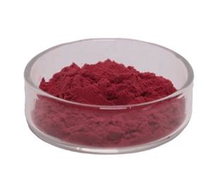 栄養強化食品グレード着色料 大根赤人参粉末 ベータカロチン・アントシアニン配合 - Product Image 1