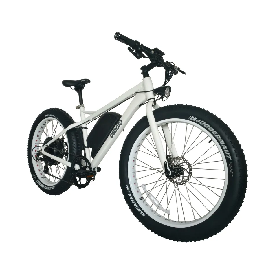 EU वेयरहाउस डायरेक्ट हेयर 48V 500W750W1000W 13AH एल्यूमीनियम मिश्र धातु फ्रेम ईबाइक 26 इंच मोटा टायर इलेक्ट्रिक माउंटेन साइकिल