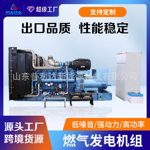 Générateur à gaz Cummins 500800 kW haute puissance, moteur de cogénération pour usage industriel - Product Image 5