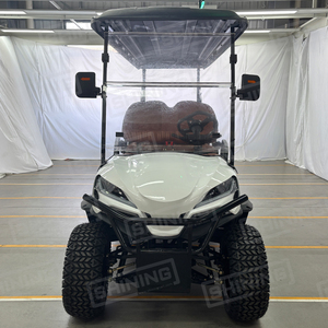 Carrito de Golf Eléctrico de 72 <span class=keywords><strong>Voltios</strong></span> y 100 <span class=keywords><strong>Amperios</strong></span> con <span class=keywords><strong>6</strong></span> Asientos, Frenos de Disco Delanteros, Homologado para Circular por la Calle, Garantía Completa de un Año, 5KW AC - Product Image 2