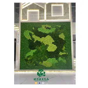 Zhen Xin Qi crafts white-haired moss green wall plant antler moss artificial green background wall