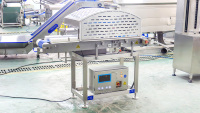 Horizontale automatische snijmachine voor groenten, meloenen, squash, courgettes, aubergines en zucchini