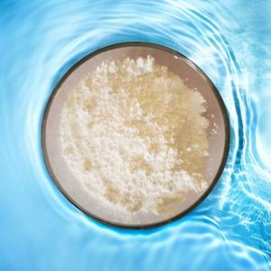 CAS 2760-98-7 lsophthalic dihydrazide - Product Image 1