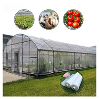 Serre agricole tunnel pour la culture de la tomate, la serre agricole polytunnel la plus économique, populaire et la moins chère à vendre