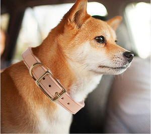 Nueva moda E único sólido simple en blanco de lujo italiano duradera de cuero Real collares de perro para mascotas - Product Image 6