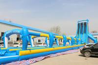 WINSUN Toboggan aquatique gonflable géant bleu dauphin pour enfants, conception personnalisée pour parc aquatique