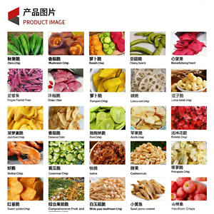 <span class=keywords><strong>Friteuse</strong></span> sous vide industrielle pour pommes, kiwis, pêches, chips de pommes de terre, aubergines - Product Image 6