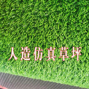 Gazon artificiel pour terrain de sport scolaire, jardin d'enfants, épaissi, plus dense, imperméable, durable, granulaire F057 - Product Image 1