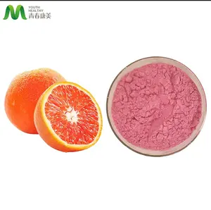 Natural Health Raw Material Orange Flavour Powder