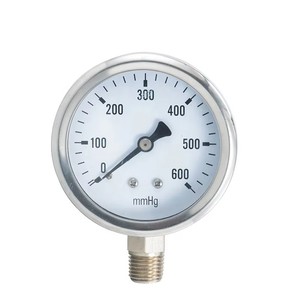 Manometro Medico a Tubo di Bourdon in Acciaio Inossidabile Double-An Y100 con Intervallo di Misurazione 0-600mmHg - Product Image 2