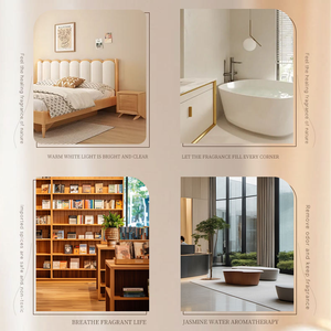 Ambientador <span class=keywords><strong>de</strong></span> aromaterapia <span class=keywords><strong>de</strong></span> lujo al por mayor, fragancia recargable, diferentes olores, ambientador <span class=keywords><strong>de</strong></span> aire personalizado <span class=keywords><strong>de</strong></span> larga duración a <span class=keywords><strong>precio</strong></span> barato - Product Image 6