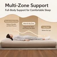 Matelas Gonflable Double/Queen pour Camping Extérieur avec Pompe Intégrée à Gonflage Rapide, Coussin de Couchage, Matelas Pneumatique pour Invités à Domicile et Voyage avec Oreiller