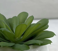 Succulentes Artificielles en Gros, Effet Naturel, Résistantes aux UV, Écologiques, Décoration Intérieure, Haute Simulation, Vente en Gros