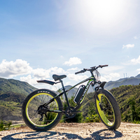 Eu Magazijn 48V 1000W Mountain Elektrische Fiets Elektrische Fiets Fat Tire Goedkope E Bike