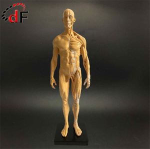 <span class=keywords><strong>Mini</strong></span> figurine jouets dessin animé japonais chaud l'anime <span class=keywords><strong>dragon</strong></span> <span class=keywords><strong>ball</strong></span> figure d'action pvc Résine <span class=keywords><strong>Dragon</strong></span> <span class=keywords><strong>ball</strong></span> <span class=keywords><strong>z</strong></span> super étoile ballon chiffre - Product Image 5