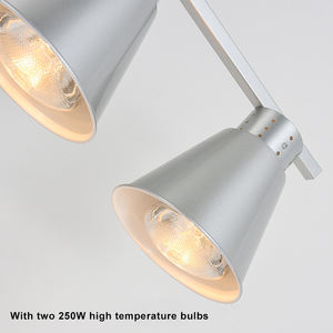 Stazione di Presentazione Alimenti <span class=keywords><strong>Elettrica</strong></span> in Acciaio Inox con Lampada Riscaldante per Hotel - Product Image 3