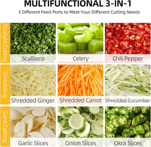 Machine à Trancher et à Déchiqueter les Légumes Électrique Commerciale Petite Multifonctionnelle 200W pour Usine de Transformation des Fruits Poireau Asperges - Product Image 4