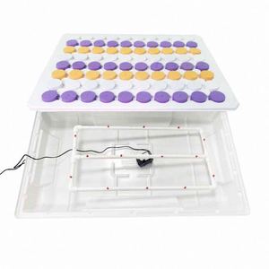 Plateau de croissance en ABS pour pépinière, plateau de Germination, Horticulture, plateau Clone, boîte de <span class=keywords><strong>semis</strong></span>, plateau de <span class=keywords><strong>semis</strong></span> agricole, 80 trous - Product Image 1
